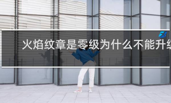 火焰纹章是零级为什么不能升级