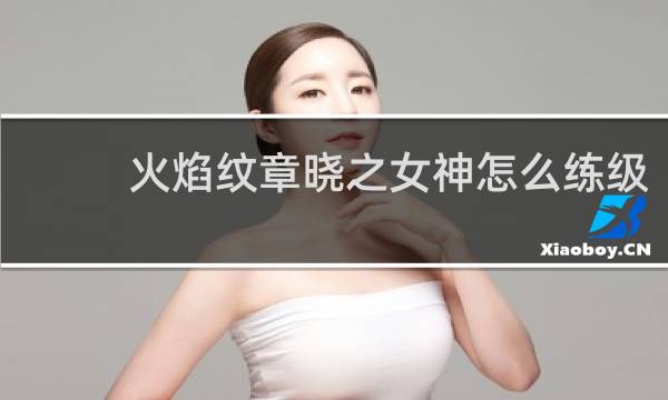火焰纹章晓之女神怎么练级