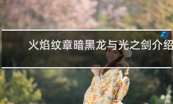 火焰纹章暗黑龙与光之剑介绍