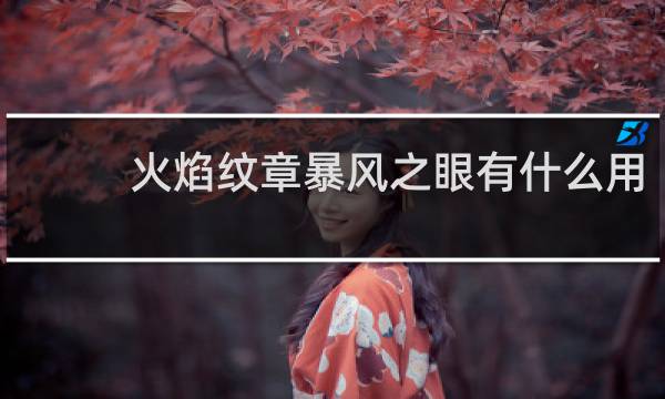 火焰纹章暴风之眼有什么用