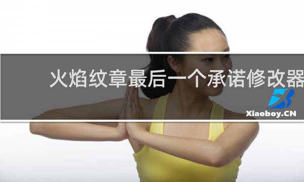 火焰纹章最后一个承诺修改器