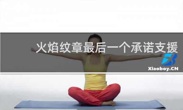 火焰纹章最后一个承诺支援