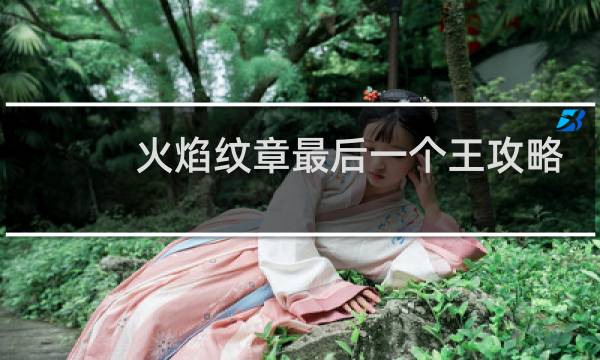 火焰纹章最后一个王攻略