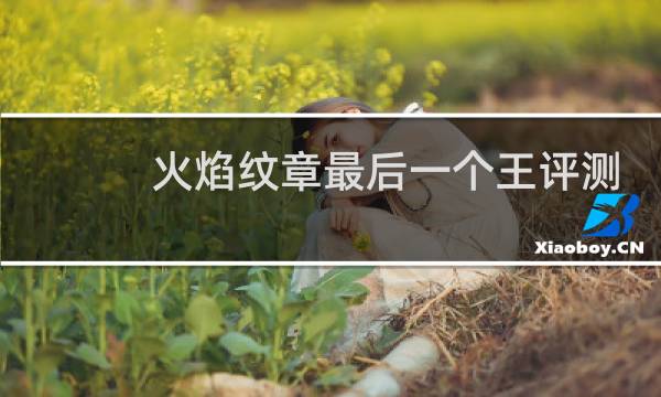 火焰纹章最后一个王评测