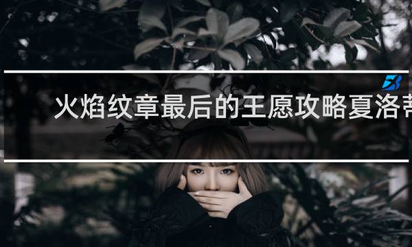 火焰纹章最后的王愿攻略夏洛蒂