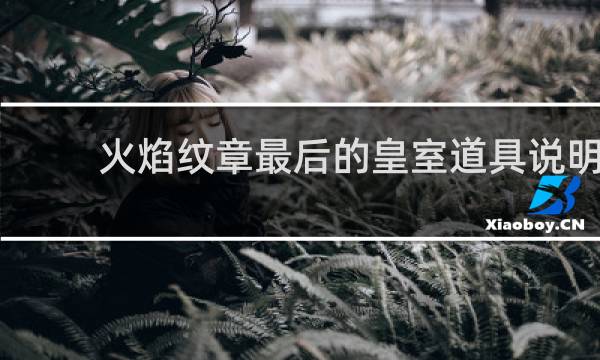 火焰纹章最后的皇室道具说明