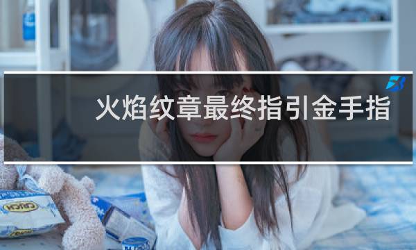 火焰纹章最终指引金手指