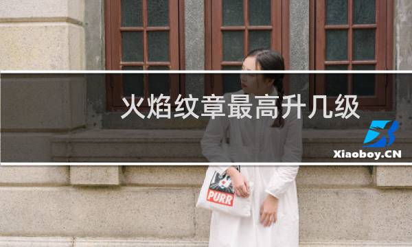 火焰纹章最高升几级