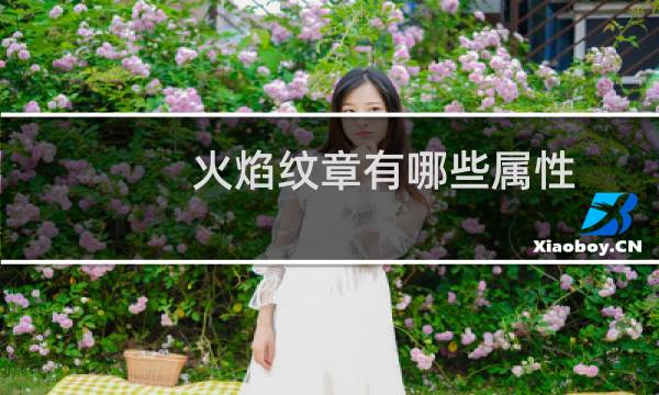 火焰纹章有哪些属性