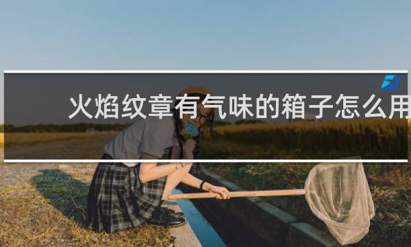 火焰纹章有气味的箱子怎么用