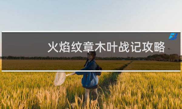 火焰纹章木叶战记攻略