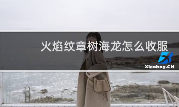 火焰纹章树海龙怎么收服