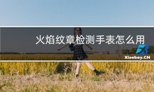 火焰纹章检测手表怎么用