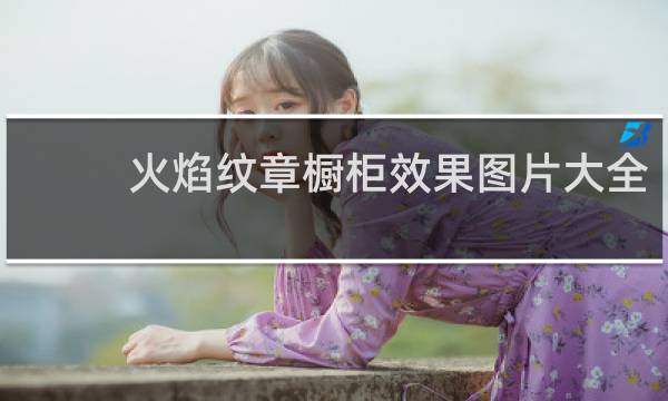 火焰纹章橱柜效果图片大全