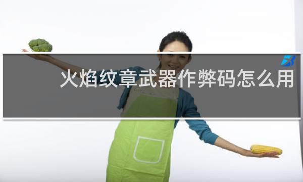 火焰纹章武器作弊码怎么用