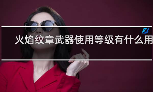 火焰纹章武器使用等级有什么用啊