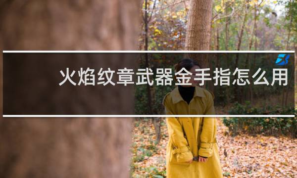 火焰纹章武器金手指怎么用