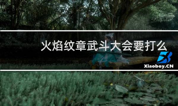 火焰纹章武斗大会要打么