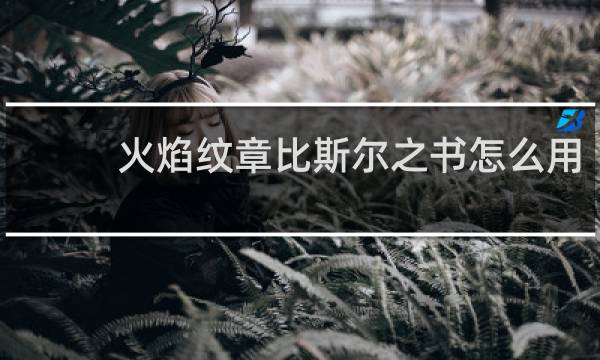 火焰纹章比斯尔之书怎么用