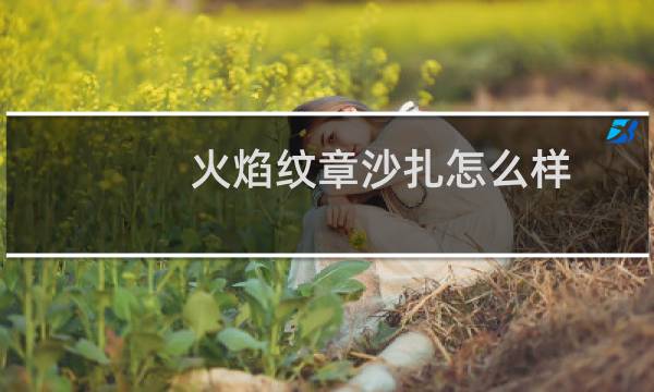 火焰纹章沙扎怎么样
