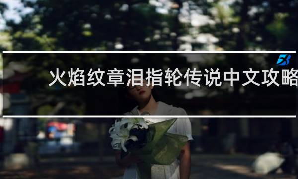 火焰纹章泪指轮传说中文攻略
