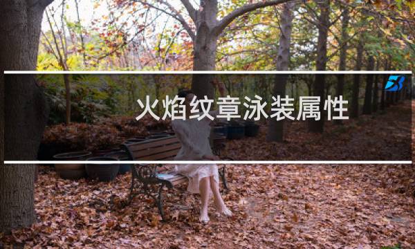火焰纹章泳装属性