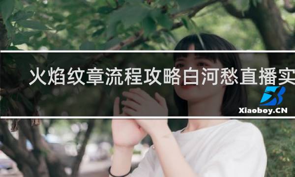火焰纹章流程攻略白河愁直播实况
