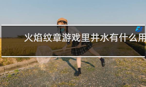 火焰纹章游戏里井水有什么用