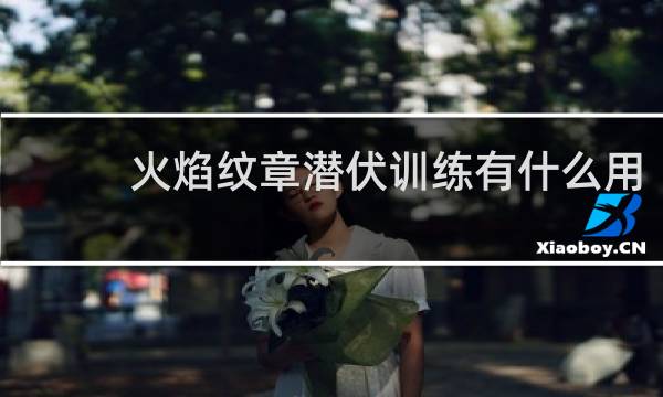 火焰纹章潜伏训练有什么用