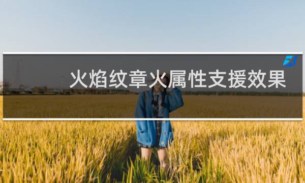 火焰纹章火属性支援效果
