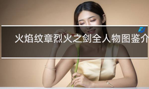 火焰纹章烈火之剑全人物图鉴介绍