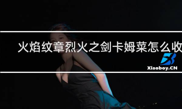 火焰纹章烈火之剑卡姆菜怎么收服