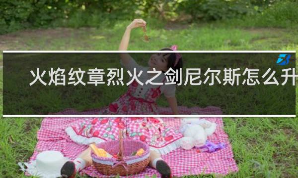 火焰纹章烈火之剑尼尔斯怎么升级