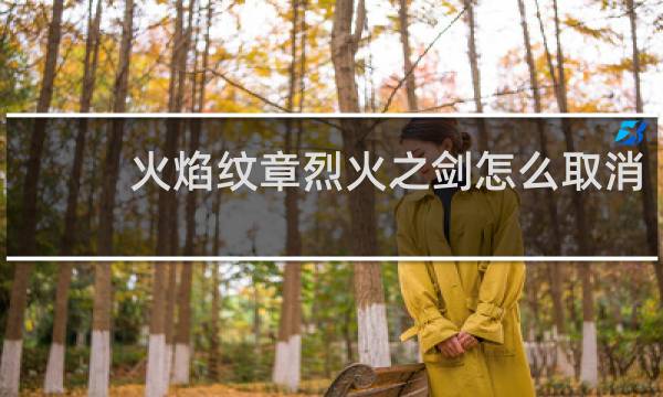 火焰纹章烈火之剑怎么取消