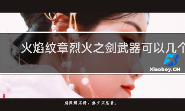 火焰纹章烈火之剑武器可以几个s