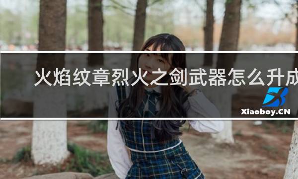 火焰纹章烈火之剑武器怎么升成s