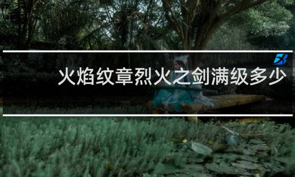 火焰纹章烈火之剑满级多少