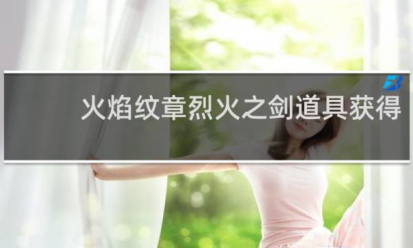 火焰纹章烈火之剑道具获得