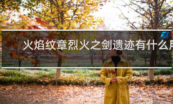 火焰纹章烈火之剑遗迹有什么用