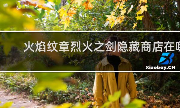 火焰纹章烈火之剑隐藏商店在哪