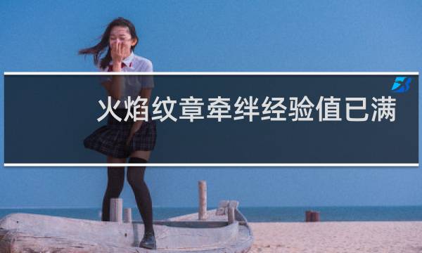 火焰纹章牵绊经验值已满