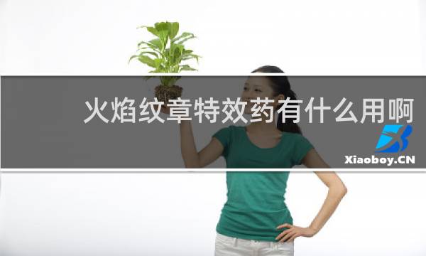 火焰纹章特效药有什么用啊