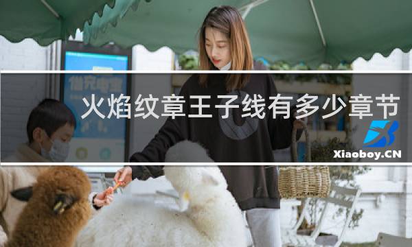 火焰纹章王子线有多少章节