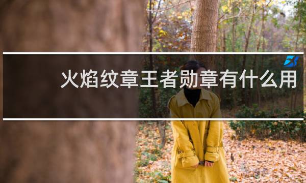 火焰纹章王者勋章有什么用