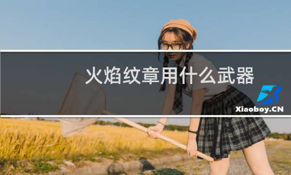 火焰纹章用什么武器