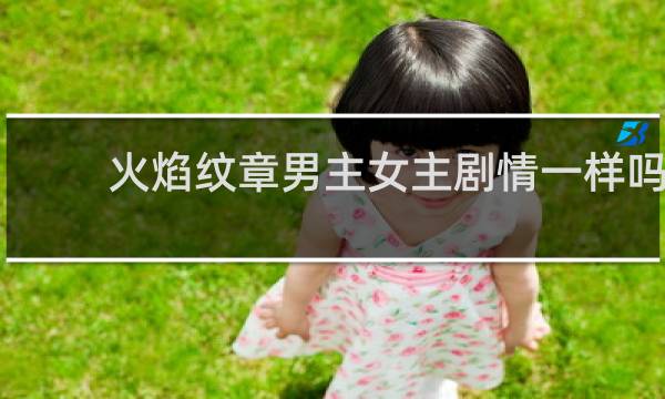 火焰纹章男主女主剧情一样吗