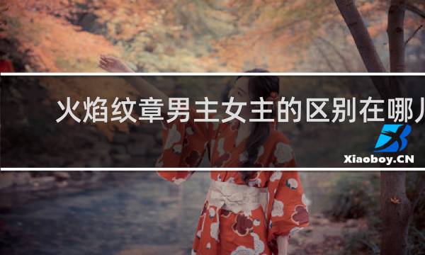 火焰纹章男主女主的区别在哪儿