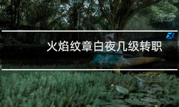 火焰纹章白夜几级转职