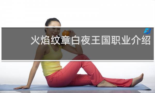 火焰纹章白夜王国职业介绍