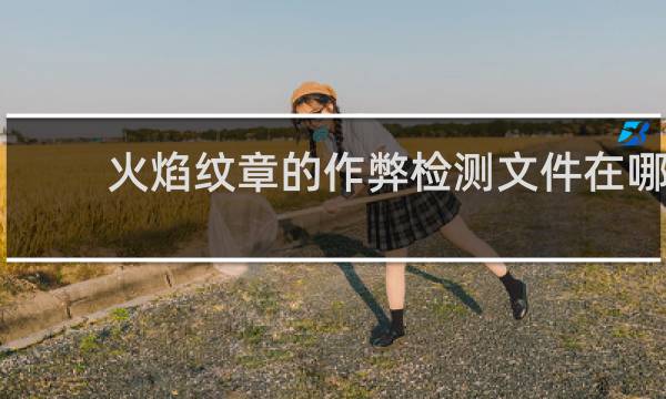 火焰纹章的作弊检测文件在哪